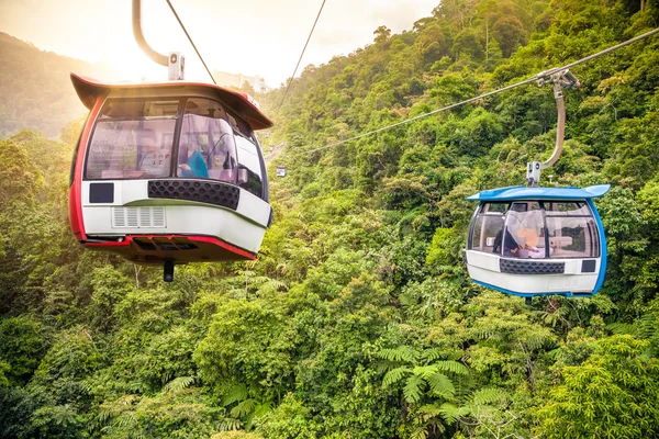 Воздушный трамвай движется вверх в тропических джунглях — стоковое фото