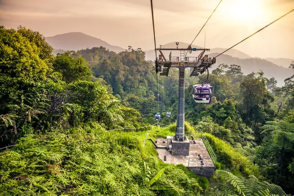 Воздушный трамвай движется вверх в тропических джунглях — стоковое фото