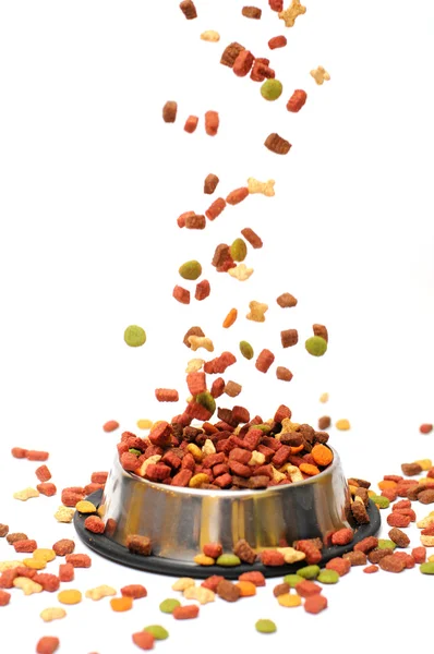 Dog Food — Stock Photo, Image