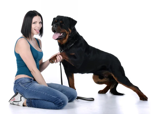 Rottweiler köpek ile kadın — Stok fotoğraf