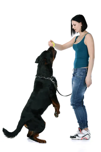 Vrouw met een rottweiler hond — Stockfoto