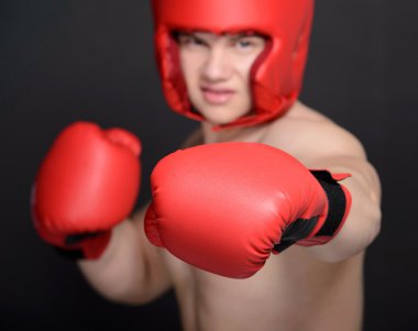 Boxer erkek