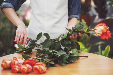 Close. Çiçekçidükkanında gül kesen genç kadın çiçekçi.