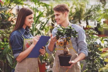 Çiçekçi dükkanında çalışan iki genç yakışıklı çiçekçi.