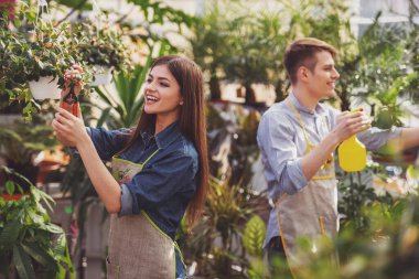 Serada çalışan iki genç yakışıklı çiçekçi.