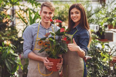 Serada çalışan iki genç yakışıklı çiçekçi.