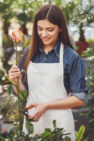 Porträtt Unga Kvinnliga Florist Beskärning Rose Flowers Shop — Stockfoto