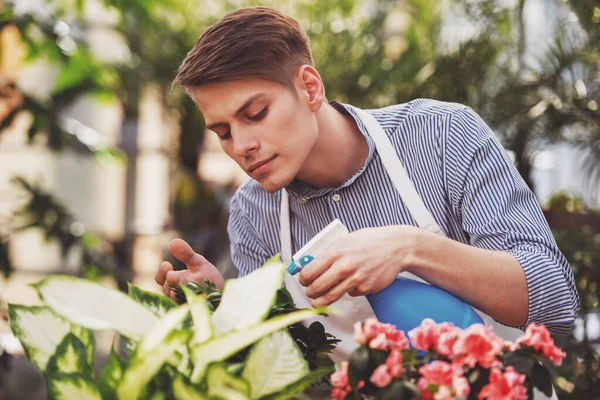 若いですハンサムな男性花屋は店で花を噴霧 — ストック写真