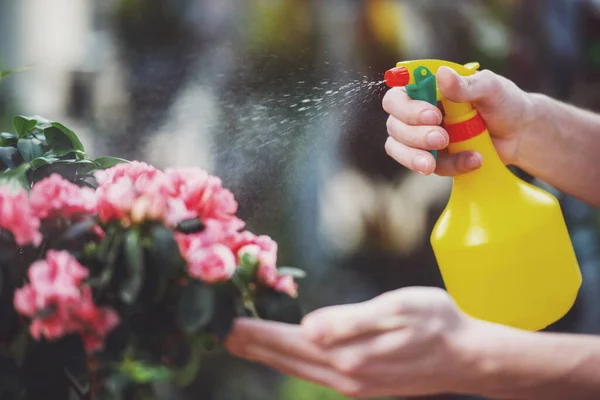 Manliga Florist Besprutning Blommor Blomsteraffär — Stockfoto