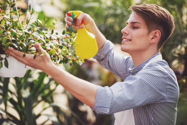 Male Florist Spraying Flowers Flower Shop — Stock Photo, Image