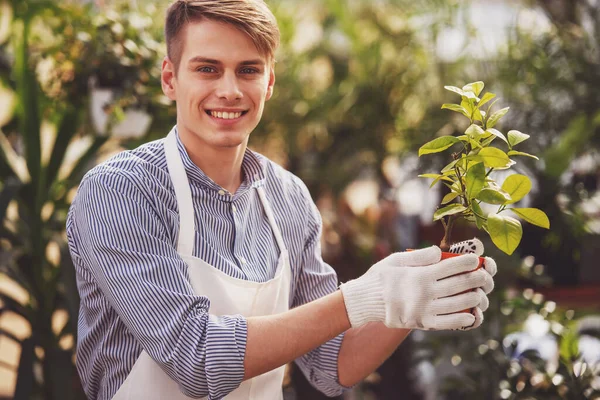 Mannelijke Bloemist Holding Bloempot Bloemenwinkel — Stockfoto