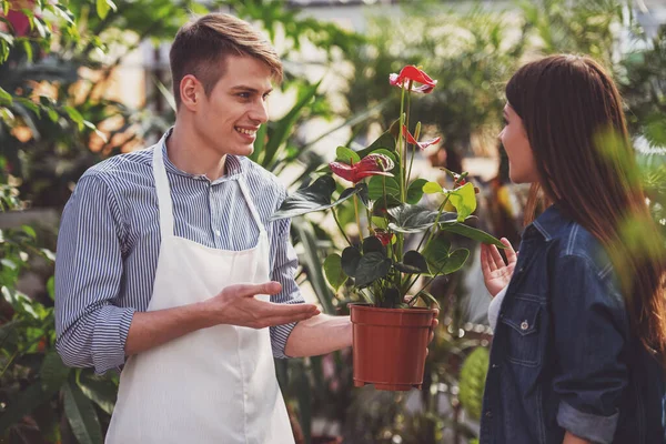 右の花を選ぶ若い女性を助ける男性の花屋 — ストック写真