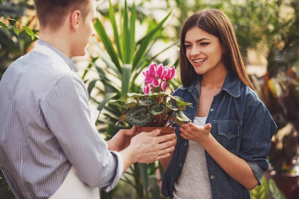 若い女性の植木鉢を与える男性の花屋 — ストック写真