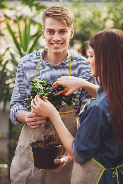 Two Young Handsome Florists Working Flowers Shop — Stock Photo, Image