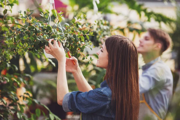 Двоє Молодих Красивих Флористів Працюють Квітковому Магазині — стокове фото