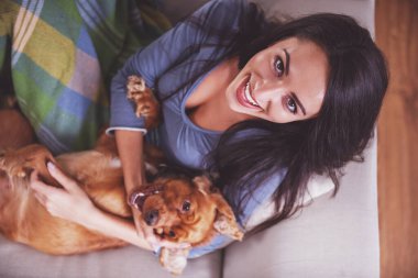 Üstten Görünüm genç kadının köpeğini kanepede yatıyor.