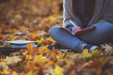 Sonbahar park yürürken genç mutlu kız öğrenciler