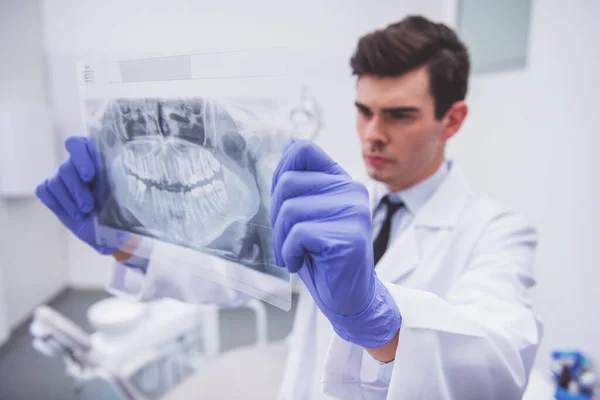 Νέος Γιατρός Οδοντίατρος Στα Γάντια Προστασίας Εξετάζοντας Την Ακτινογραφία Της — Φωτογραφία Αρχείου