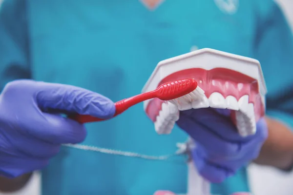 Dentista Luvas Proteção Mantém Escova Dentes Prótese Dentária Close — Fotografia de Stock