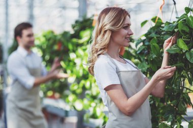 Güzel genç kadın ve erkekte önlük orangery bitkilerde bakmakta iken gülümsüyorsun. Kadın ön planda