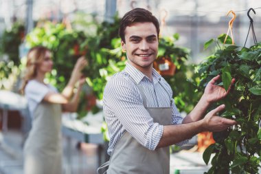 Güzel genç kadın ve erkekte önlük orangery bitkilerde bakmakta iken gülümsüyorsun. Adam kameraya bakan