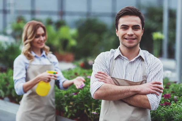 英俊的年轻男子是看着相机 微笑而站在橘园 在背景女人喷洒植物 — 图库照片