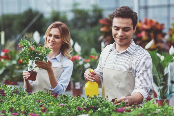 Beautiful Young Woman Man Aprons Smiling Spraying Water Plants While — Stock Photo, Image