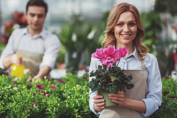 美しい若い女性は植物を保持と笑みを浮かべながら背景の男で オランジェリーに立っては植物に水を吹きかける — ストック写真