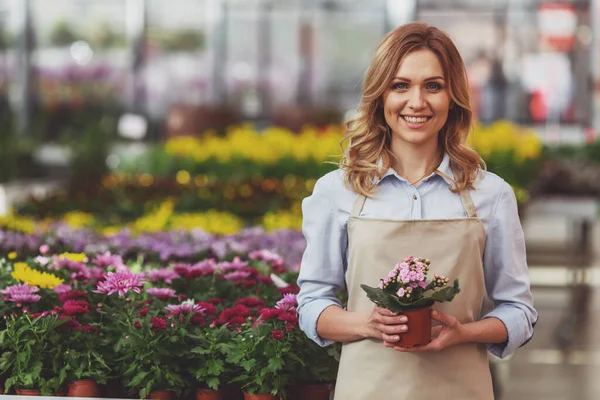 エプロンの美しい若い女性の植物を保持 オランジェリーに立ちながら笑顔 — ストック写真