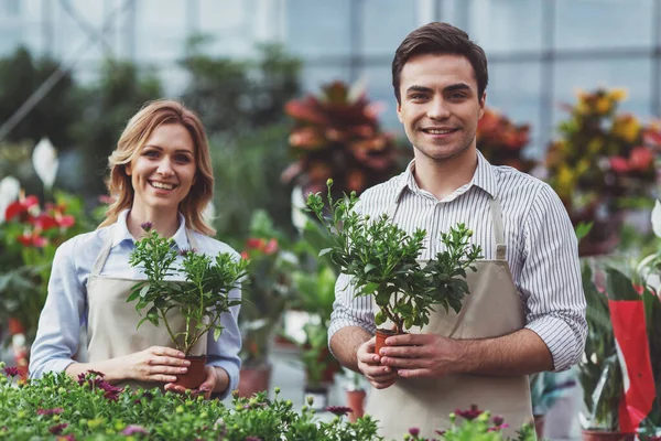 Schöne Junge Frau Und Mann Schürzen Halten Pflanzen Blicken Die — Stockfoto