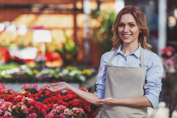 Hermosa Mujer Joven Delantal Está Apuntando Las Plantas Mirando Cámara —  Fotos de Stock