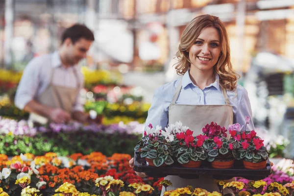 Hermosa Joven Delantal Está Sosteniendo Las Plantas Mirando Cámara Sonriendo — Foto de Stock