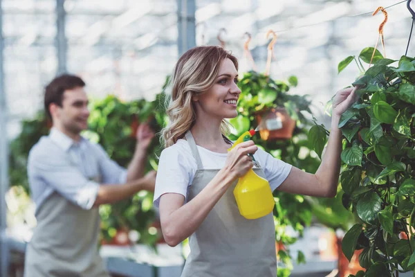 Mulher Bonita Homem Aventais Estão Sorrindo Enquanto Cuidam Plantas Orangery — Fotografia de Stock