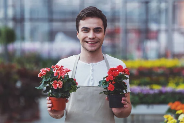 エプロンでハンサムな若い男が植物を保持 カメラ目線 オランジェリーに立ちながら笑顔 — ストック写真