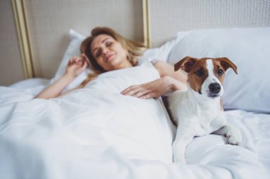 Güzel sarışın kızı yatakta uyuyor. Onun sevimli köpek yakınındaki yalan ve kameraya bakıyor