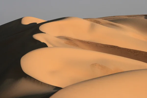 Dunes in the great sand sea — Stock Photo, Image