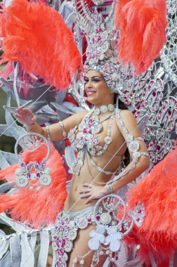 Santa cruz de tenerife karnaval 2014