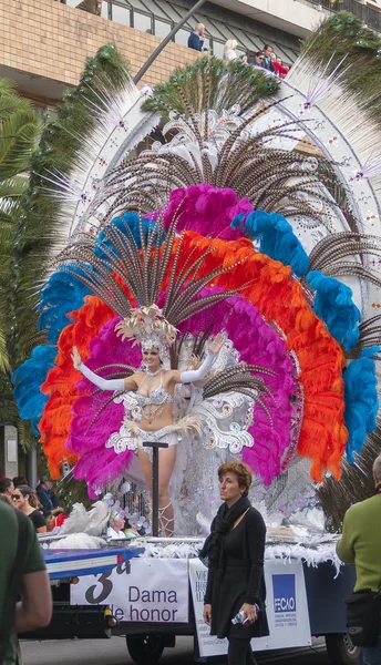 Carnaval de Santa Cruz de Tenerife 2014 — Fotografia de Stock