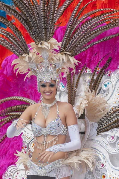 Santa Cruz de Tenerife  Carnival 2014 — Stock Photo, Image