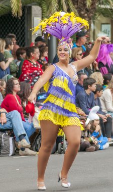 Santa cruz de tenerife karnaval 2014