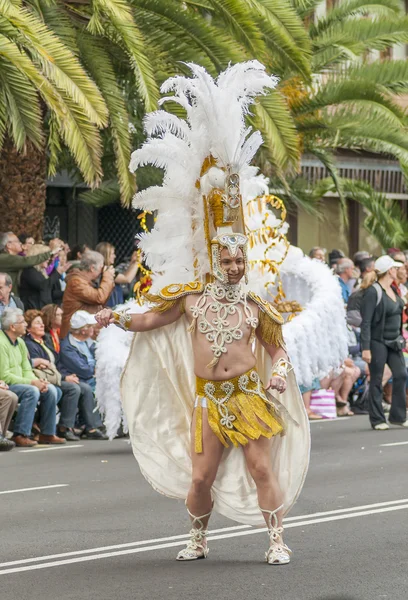 Santa Cruz de Tenerife  Carnival 2014 — Stock Photo, Image