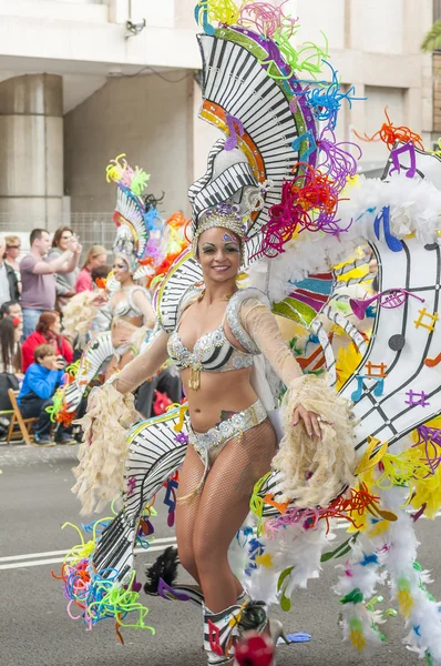 Santa Cruz de Tenerife  Carnival 2014 — Stock Photo, Image