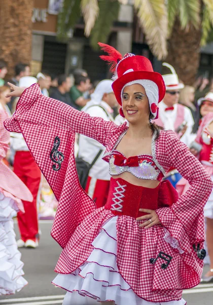 Santa Cruz de Tenerife  Carnival 2014 — Stock Photo, Image