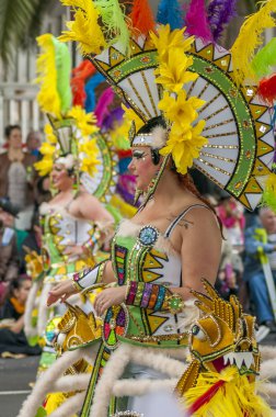 Santa cruz de tenerife karnaval 2014