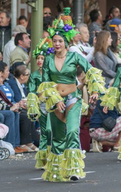 Santa cruz de tenerife karnaval 2014