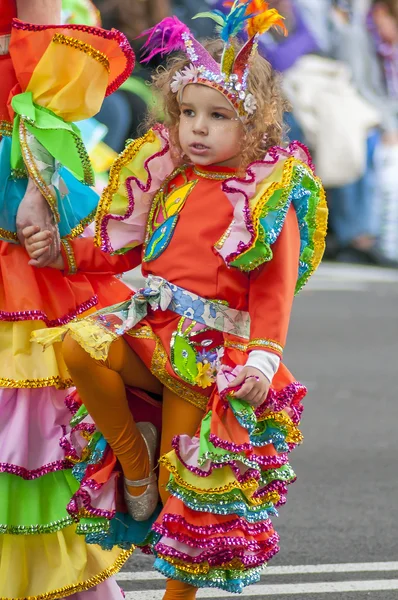 Carnevale di Santa Cruz de Tenerife 2014 — Foto Stock