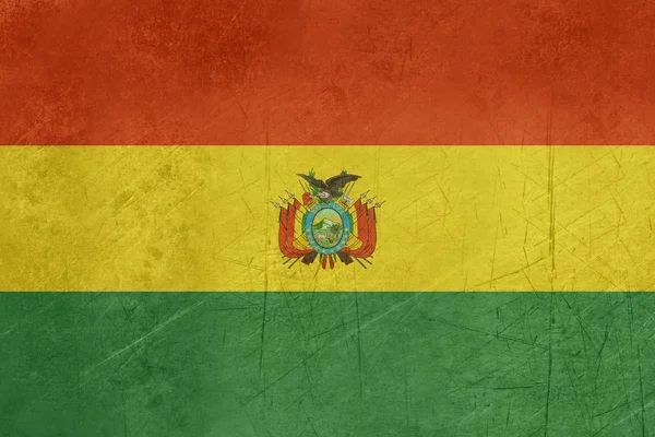 Grunge Bolivia Flag — Stock Photo, Image