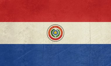 Grunge paraguay bayrağı