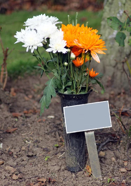 Placa comemorativa e flores no cemitério — Fotografia de Stock