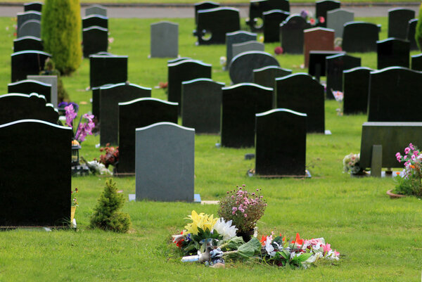 Flowers in cemetery